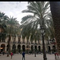 Kenan Pehlivan's Photo