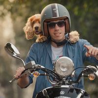 Franco Fantin's Photo