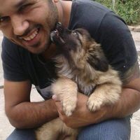 Juanse Garcia的照片