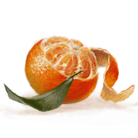 Clementine Camosseto的照片