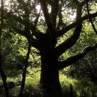 David Bavin的照片