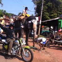 Constantin Bayer's Photo