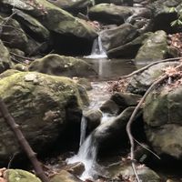 Sara Michael's Photo