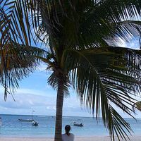 Paula Bertone's Photo