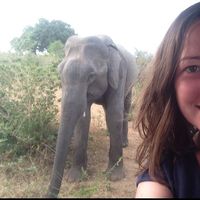 Merle Fitzpatrick的照片