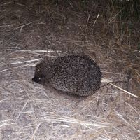 Pieter Van Muysen's Photo