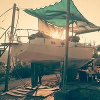 Fotos von Nati weinblum