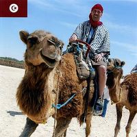 Bradley Ballard's Photo