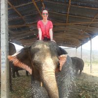 NATALIA KARNAUKHOVA的照片