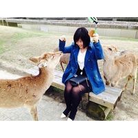 Fotos de Ruifang Chen