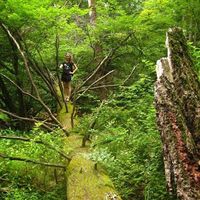 Monya Bransky的照片