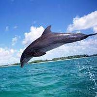 Elya Kutluguzhina's Photo