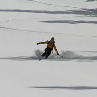 Michelle a mcneill's Photo