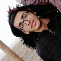 Alireza Amini's Photo