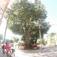 Фотографии пользователя Paulina Monroy