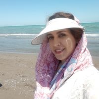 Shaghayegh Mohammadi's Photo