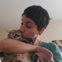 sheida Shamloo's Photo