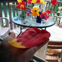 Polina Isakharova's Photo