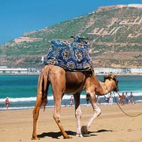 Fotos von Alexa Susa