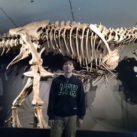 Hajime Yamamoto's Photo