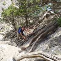 Fotos de Alya Edelveye