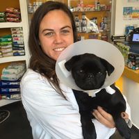 Catalina Montesino Wenzel的照片