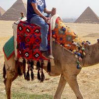 Photos de Sandro Putzi