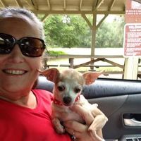 CeCe HappyCamper的照片