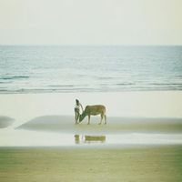 Smriti Sharma的照片