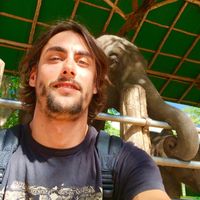 alexandre martin's Photo