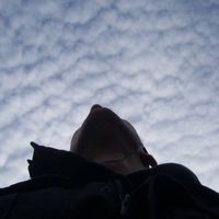 Nico Arnold的照片