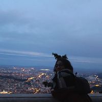 Irene Sciurpa的照片