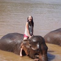 Yuki Hagiwara的照片