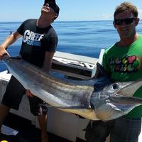 Batto Batto的照片