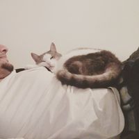 S T Mahmood  Hasib的照片