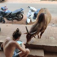 Ilia Ruchéi's Photo