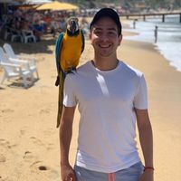 Zdjęcia użytkownika Rodrigo Baltazar