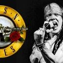 Guns N Roses Concert - Houston TX's picture