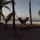 Hammock In The Beach 's picture