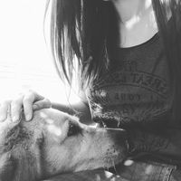 Ailen Yunge的照片