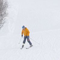 basem alsolihi的照片