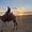 Sherif Abdelaziz's Photo