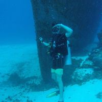 Matteo Damascelli's Photo