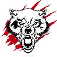 Michał Musialik's Photo