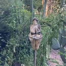 Circulo Luna Nueva de Las Mujeres 's picture