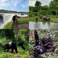 MUGISA PATRICK的照片