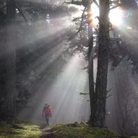 Alicia Anne的照片