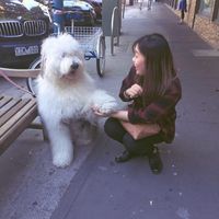 Heather Chen的照片