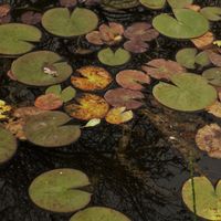 Maximiliano Fantasia's Photo