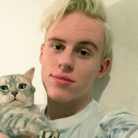 Photos de Bogdan Tramell